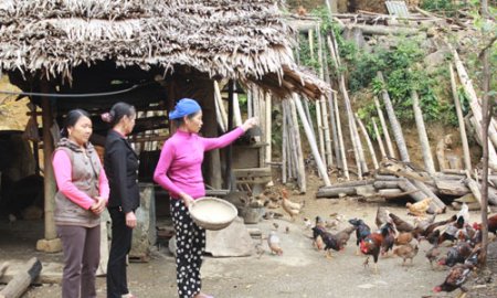 Lương Ngoại: Điểm sáng phong trào học tập trong gia đình và dòng họ